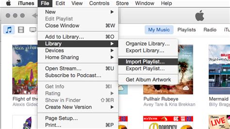 Apple Music Deleted My Playlist: A Symphony of Digital Disarray